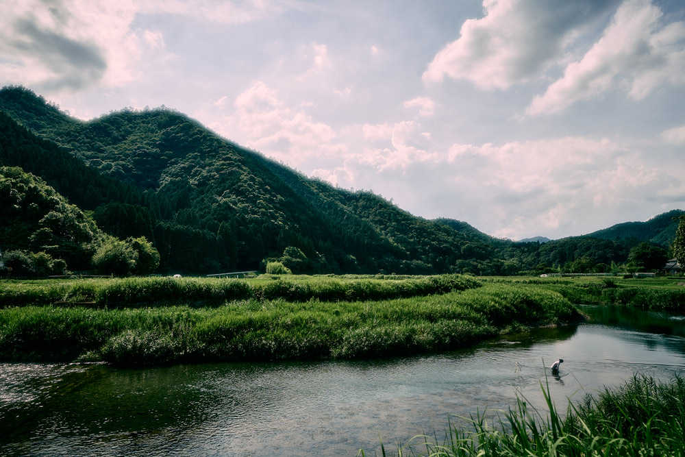 すきなきゅうり