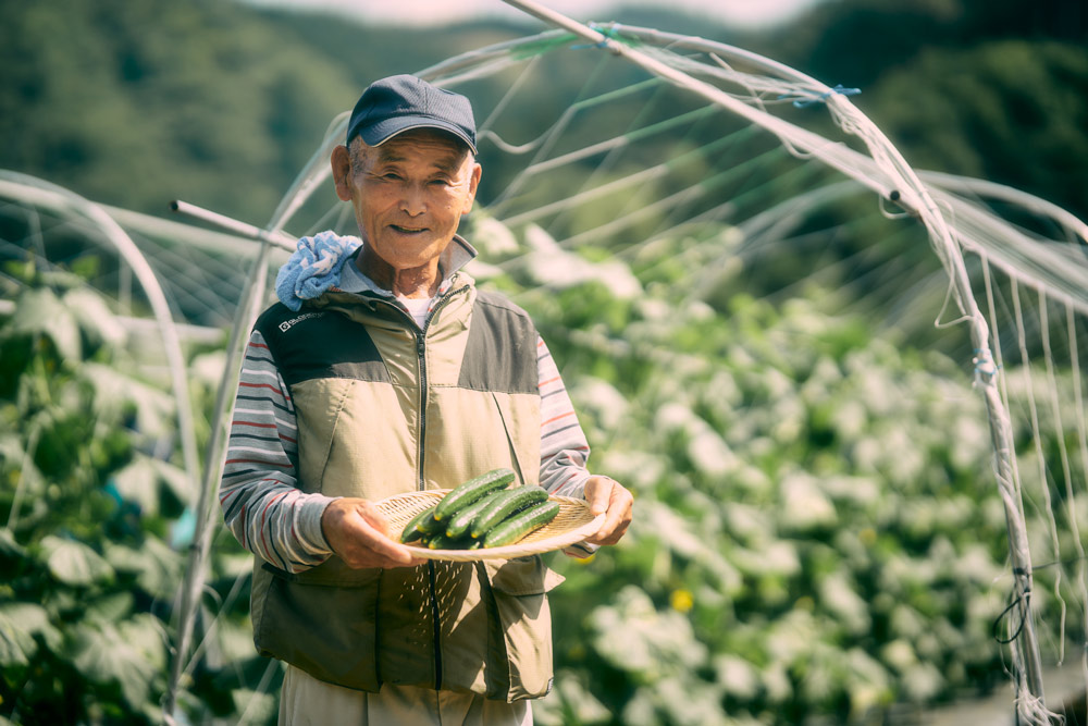 すきなきゅうり